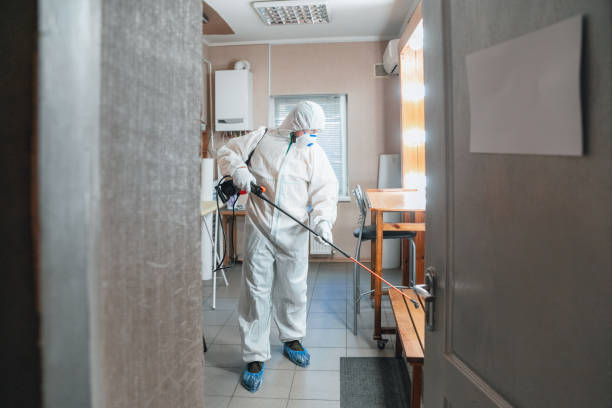 Mold Remediation for Vacation Homes in Carterville, IL